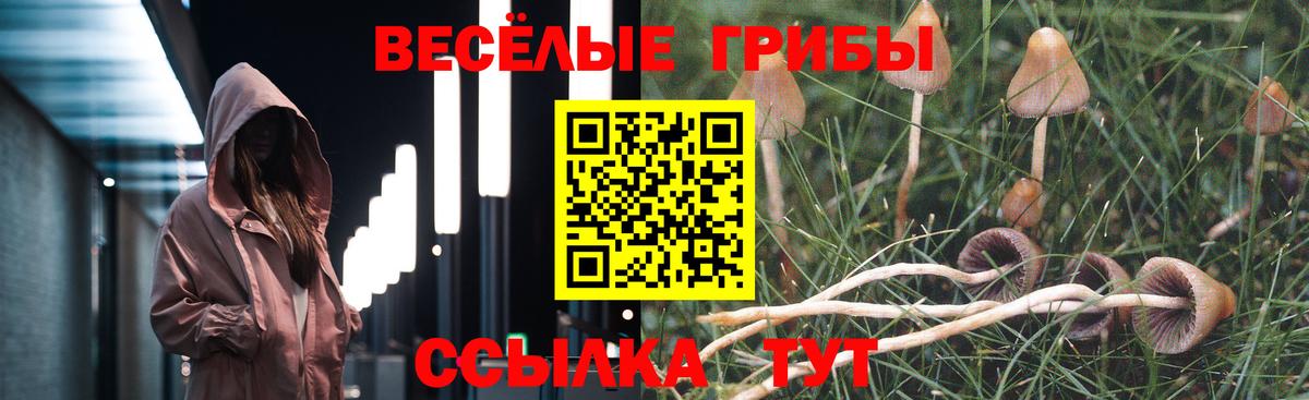 Феодосия  Псилоцибиновые грибы Psilocybe  закладки  Вход с VPN 